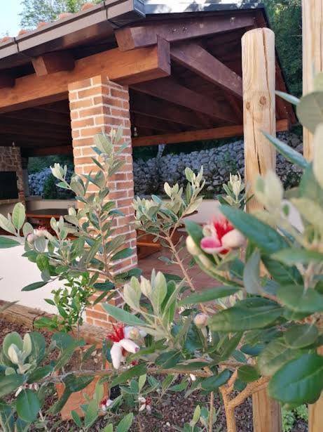 Amazing 4 Bedroom Villa With Swimming Pool And Wifi, Family Frendly Tribalj  Zewnętrze zdjęcie